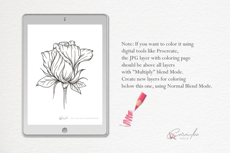 Flower Coloring Pages For Adults Printable Coloing Pages For Etsy Canada flower-coloring-pages-for-adults-printable-coloing-pages-for-etsy-canada