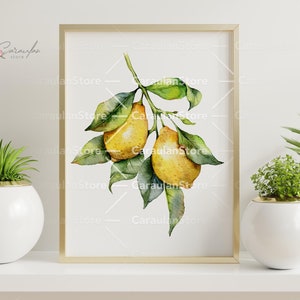 Watercolor Lemon Print Wall Art, Botanical Poster, Lemon Illustration, Dining Room Wall Art, Kitchen Decor with Lemon, Vintage Kitchen Print