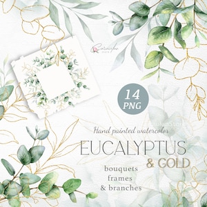 Clipart de eucalipto em aquarela, conjunto de clipart de vegetação, moldura de eucalipto, borda de eucalipto, galho de folhas verdes, convite de casamento floral DIY