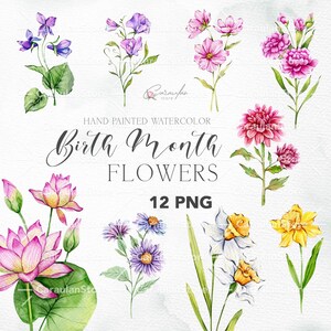 Birth Month Flower Clipart, Watercolor Birth Flowers,  Birth Month Flower PNG, Birth Month Flower Illustration, Watercolor Flowers clipart