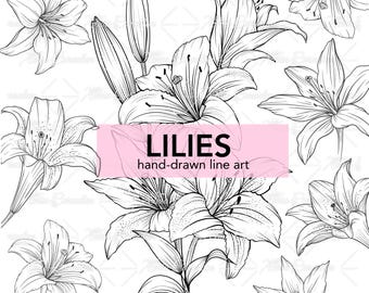 Lilies Line Art: Floral Bouquets SVG PNG Clipart (Digital Download)