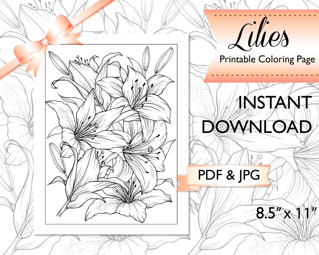 Buy Lily Floral Coloring Page: Meditative Adult Art (PDF \u0026 JPG) Online in  India - Etsy, image size:1080x864