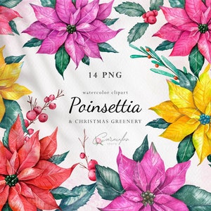 Imágenes prediseñadas de Navidad en acuarela, acuarela de Poinsettia, flores de Navidad, imágenes prediseñadas de vacaciones de invierno, Navidad en acuarela, acebo, muérdago, PNG