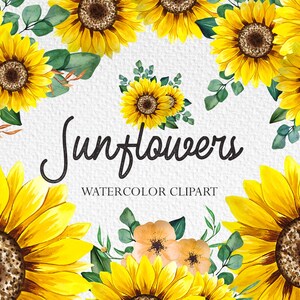 Watercolor Sunflowers Clipart, Sunflowers Frames PNG, Sunflower Bouquets PNG, Watercolor Flowers, Watercolor Bouquets, Yellow flowers PNG
