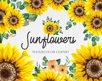 Watercolor Sunflowers Clipart, Sunflowers Frames PNG, Sunflower Bouquets PNG, Watercolor Flowers, Watercolor Bouquets, Yellow flowers PNG