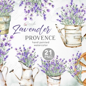 Imágenes prediseñadas de acuarela de lavanda, acuarela de lavanda de Provenza, PNG de lavanda, PNG de sublimación de lavanda, flores de Provenza violeta de Provenza floral