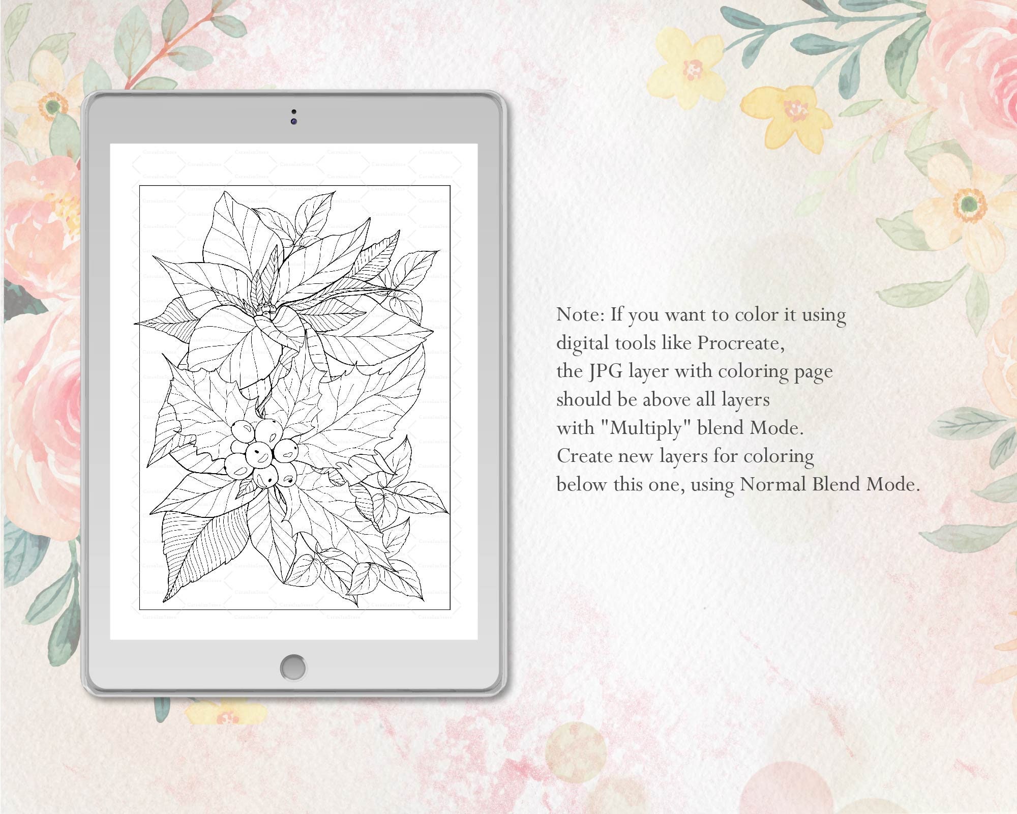 Christmas Coloring Pages, Poinsettia Coloring, Adult Coloring Pages