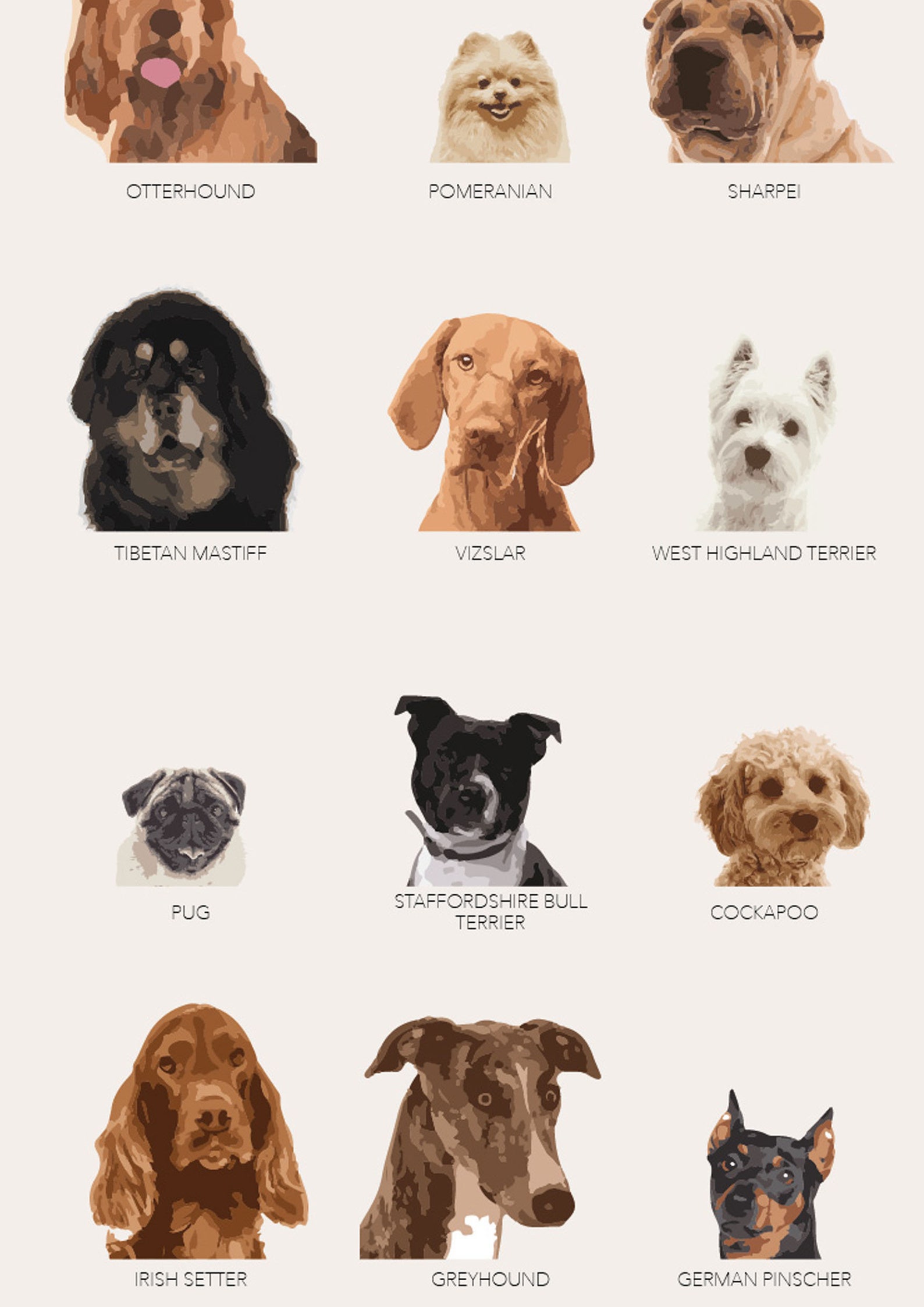Dog Breeds Poster Fun print featuring 42 breeds of dogs. Etsy
