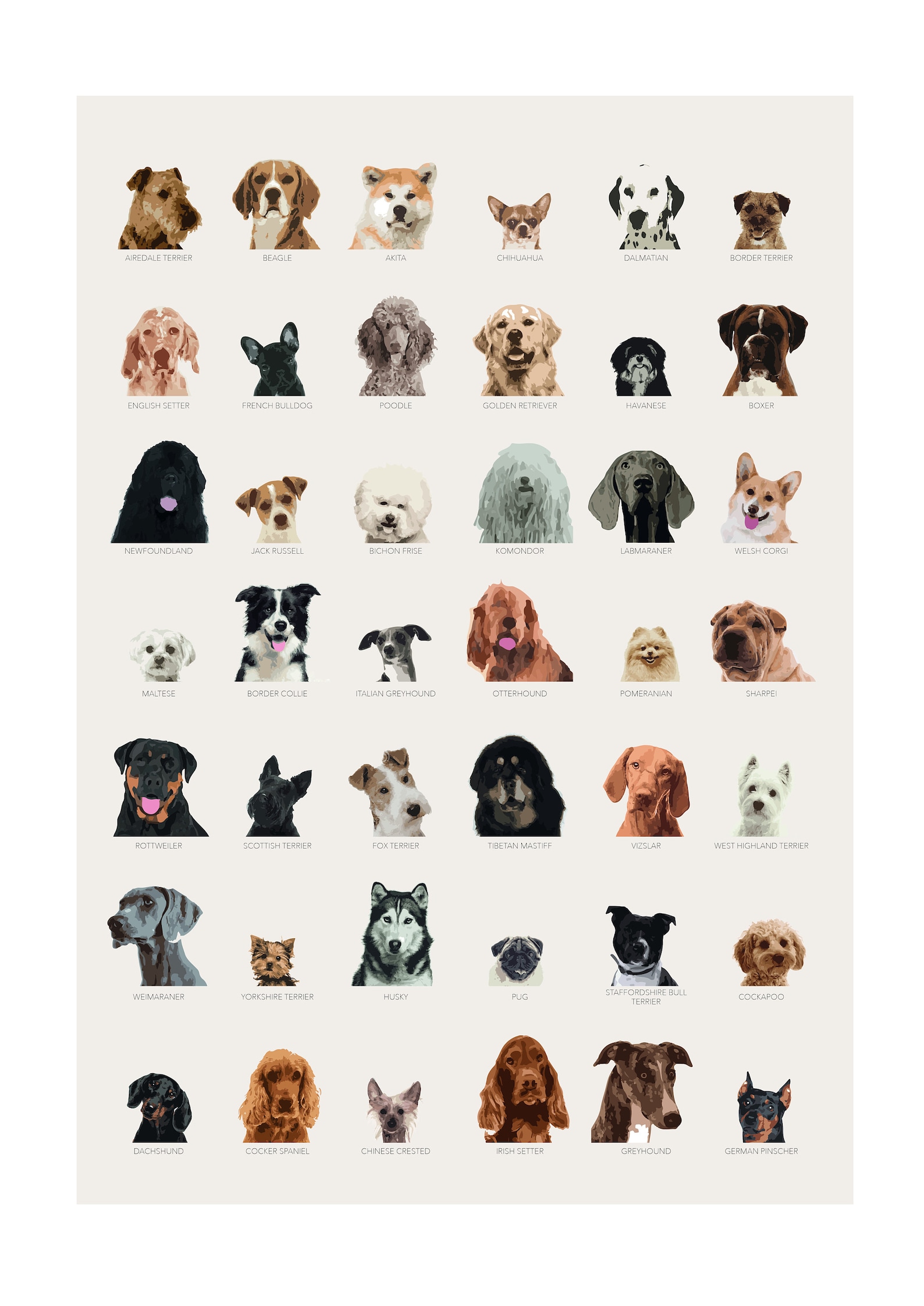 Dog Breeds Poster Fun Print Featuring 42 Breeds Of Dogs Etsy dog-breeds-poster-fun-print-featuring-42-breeds-of-dogs-etsy