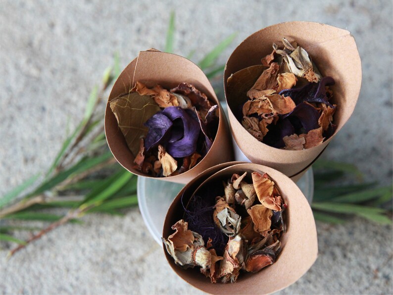 Confetti Bulk Buy Dry Flower Confetti DIY Cone and Sticker Etsy