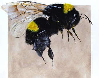 Buzz 3. Limited edition Giclee print from an original Acrylic painting by me.  Numbered, signed, limited run of 50