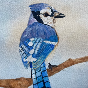 Blue Jay Feather Hand Original Watercolour Feather Painting Etsy