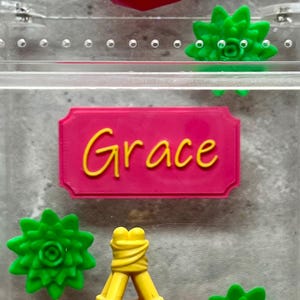 Namensschild für Spinnengehege - Kundengerechtes magnetisches Namensschild für Spinnengehege - magnetisches Namen/Textschild