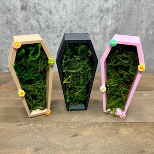 Jumping Spider Coffin Hide - Jumping Spider Coffin Hide, Magnetic Jumping Spider Hideout