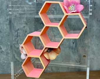 Estante hexagonal magnético grande - Decoración para terrario de araña saltarina