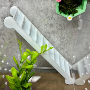 Jumping Spider Ladder, Magnetic Ladder for Jumping Spider Enclosure,  Magnetic Mini Ladder, Jumping Spider Staircase, Jumping Spider Decor