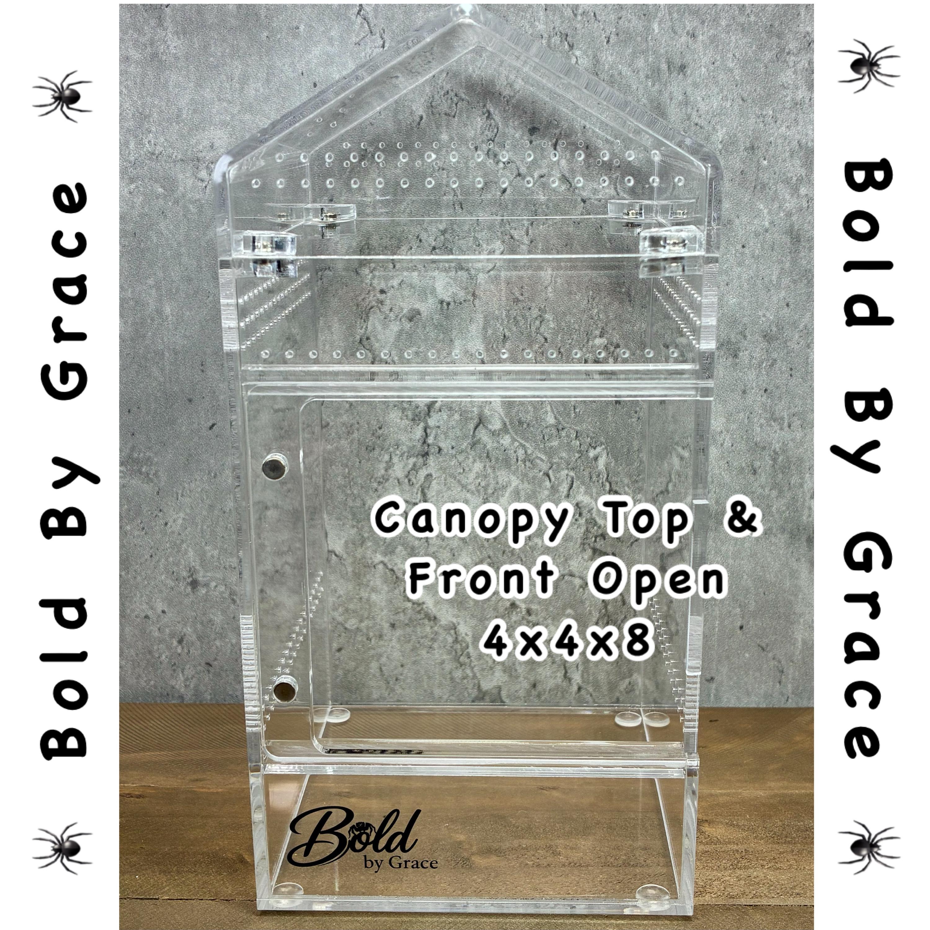 4x4x8 Inch Jumping Spider Enclosure- Magnetic Canopy Top Plus