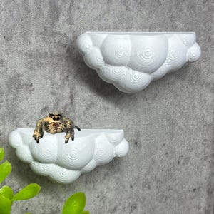 May include: Two white cloud-shaped wall shelves with a textured design. One shelf has a brown and tan spider perched on the edge. The shelves are mounted on a grey wall, with green foliage in the foreground.