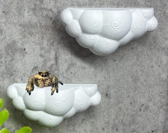 Rebord nuage magnétique pour araignées sauteuses : étagère araignée imprimée en 3D