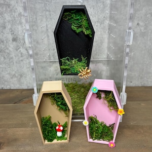 Op de afbeelding: Drie miniatuur terrariums in de vorm van een kist. Eén is zwart, één is beige en één is roze. Elke kist is gevuld met groen mos. De zwarte kist heeft een gouden spinnenbedel. De beige kist heeft een rood-witte paddenstoel. De roze kist heeft kleurrijke bloemaccenten.