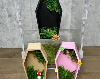 Coffin Moss Hide: magnetische schuilplaats voor springspinnen