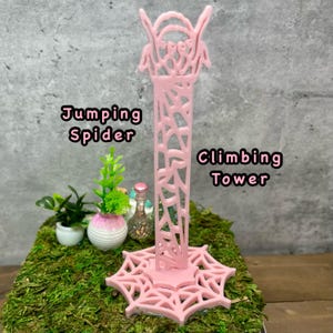 Jumping Spider Climbing Tower - Jumping Spider Enclosure Decor