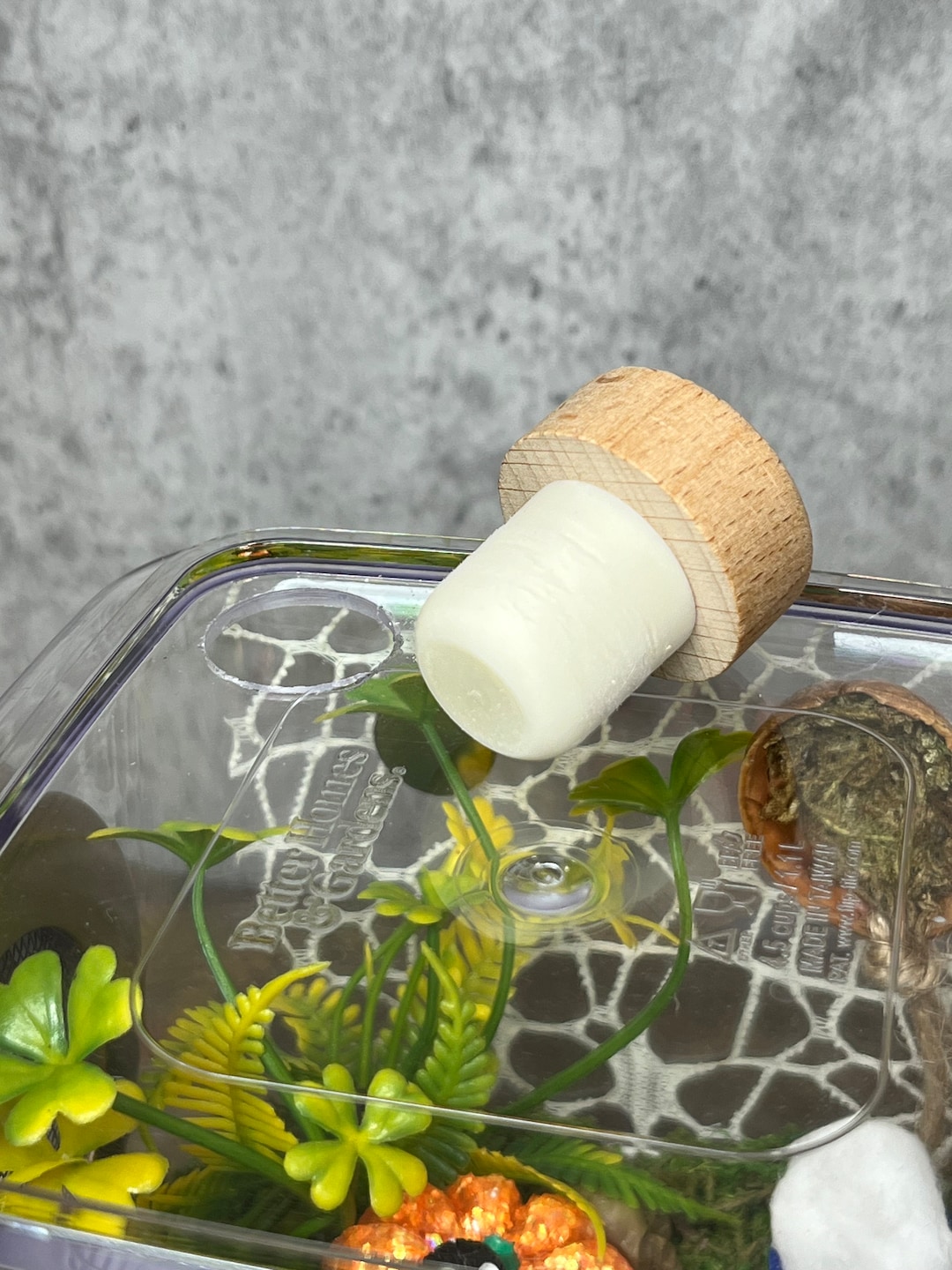 Rubber Feeder Hole Plug With Wooden Handle for Spider Enclosure (0.5 ...