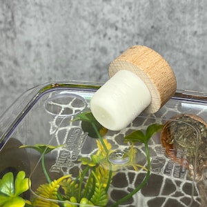 May include: A clear plastic terrarium with a white cork stopper, green plastic plants, and a brown and green decorative piece. The terrarium has the text "Better Homes & Gardens" printed on the side.