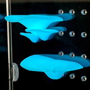 Juego de 2 repisas con forma de hongo: Decoración magnética para terrarios de arañas saltarinas