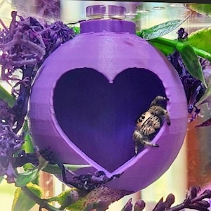Magnetic Heart Hide for Jumping Spider - 3D Printed Jumping Spider Hide, Jumping Spider House, Spider Hide, Jumping Spider Accessories