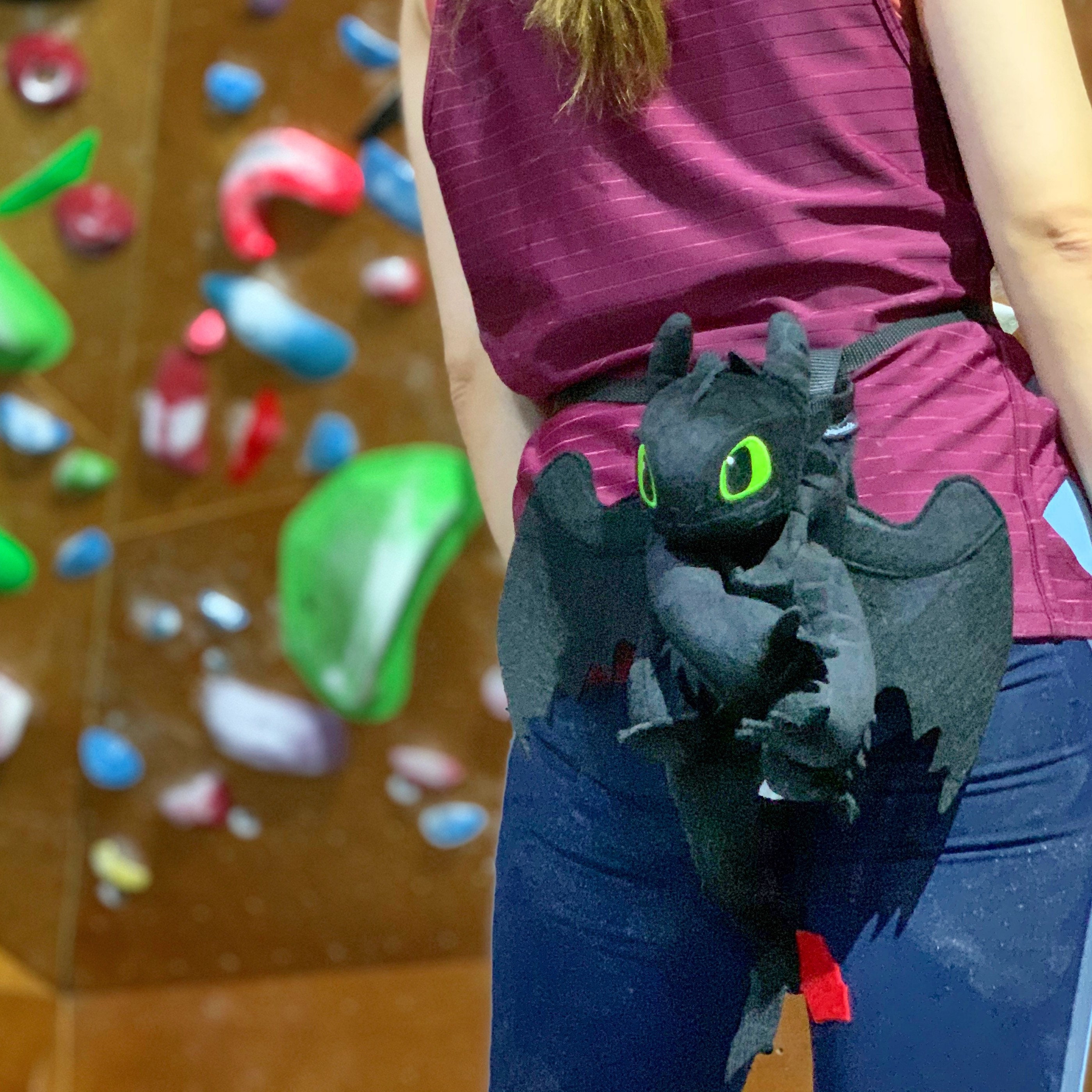 Toothless Chalk Bag regular Size Etsy