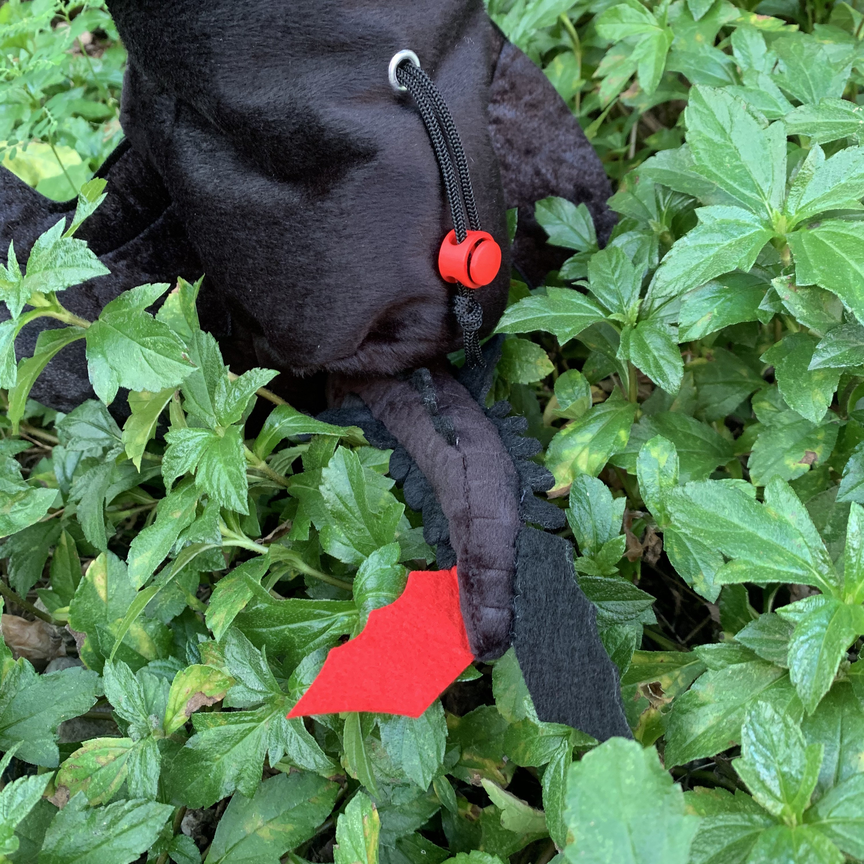 Toothless Chalk Bag regular Size Etsy