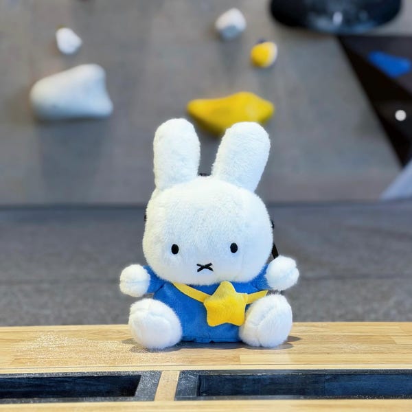Bunny chalk bag
