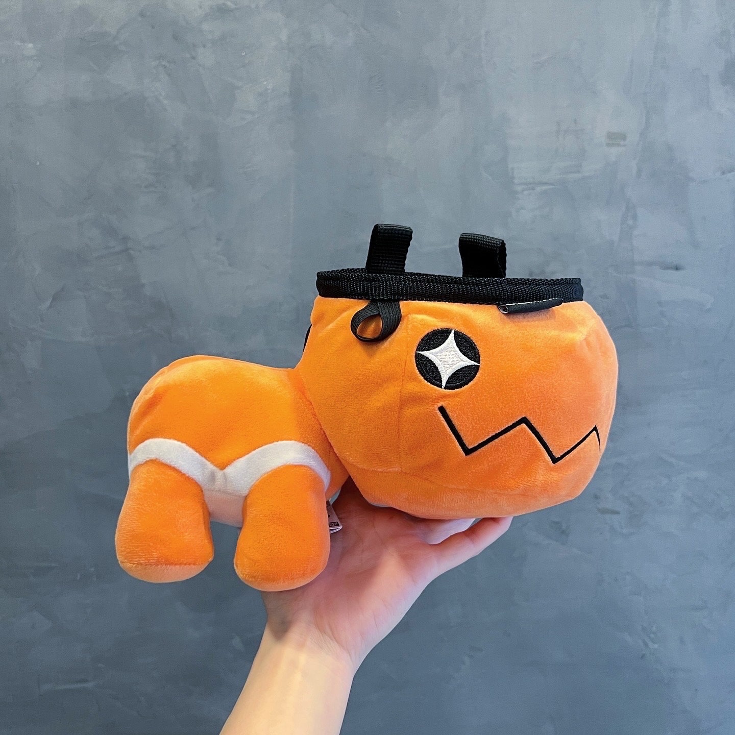 Limited Edition : Trapinch Chalk Bag - Etsy