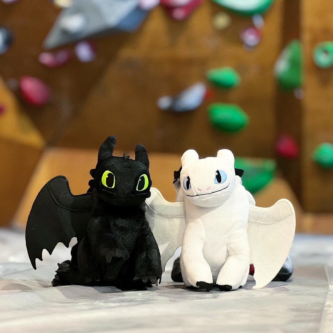 Toothless Light Fury Chalk Bag Etsy