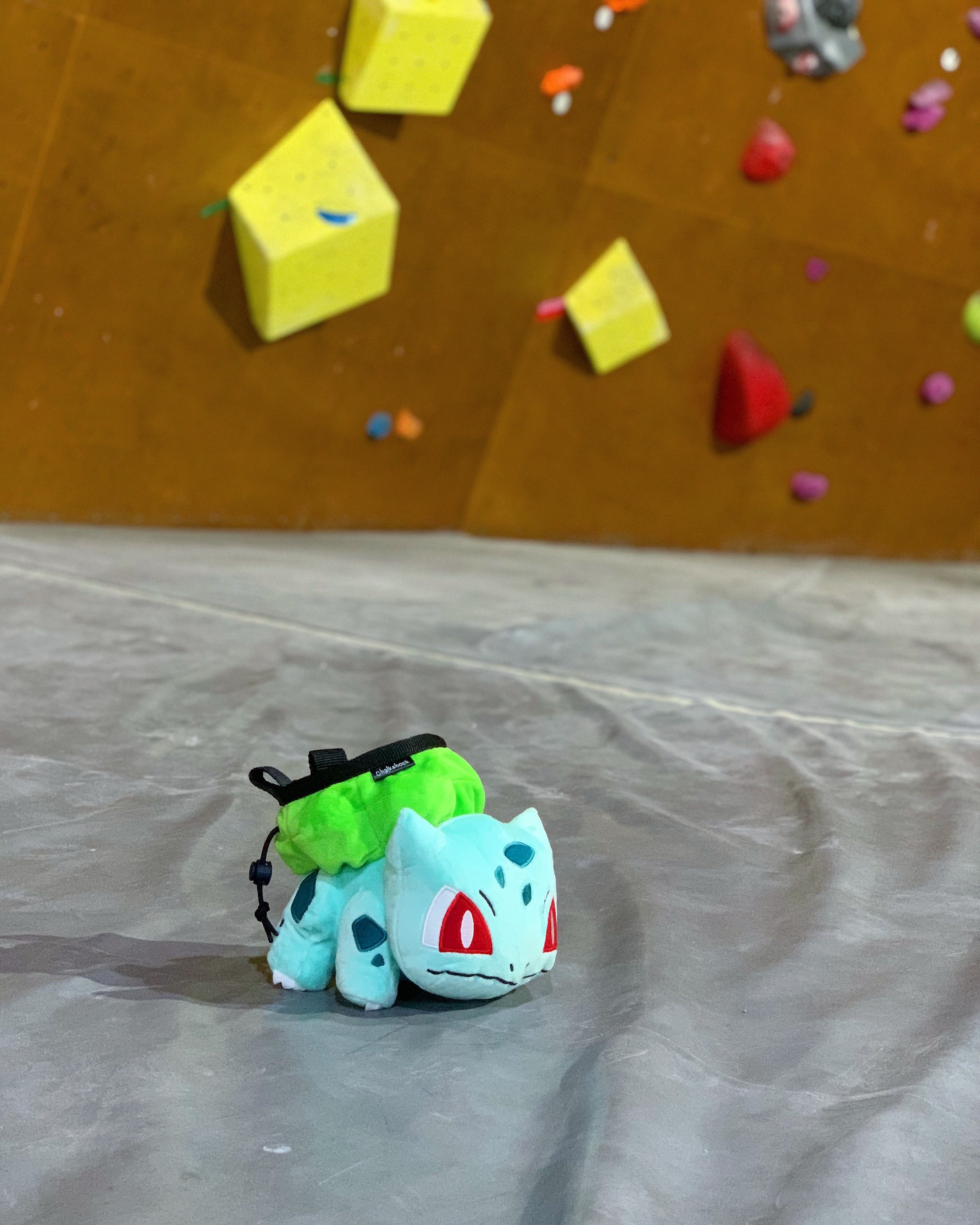 Bulbasaur fushigidane Pokemon Chalk Bag Etsy UK