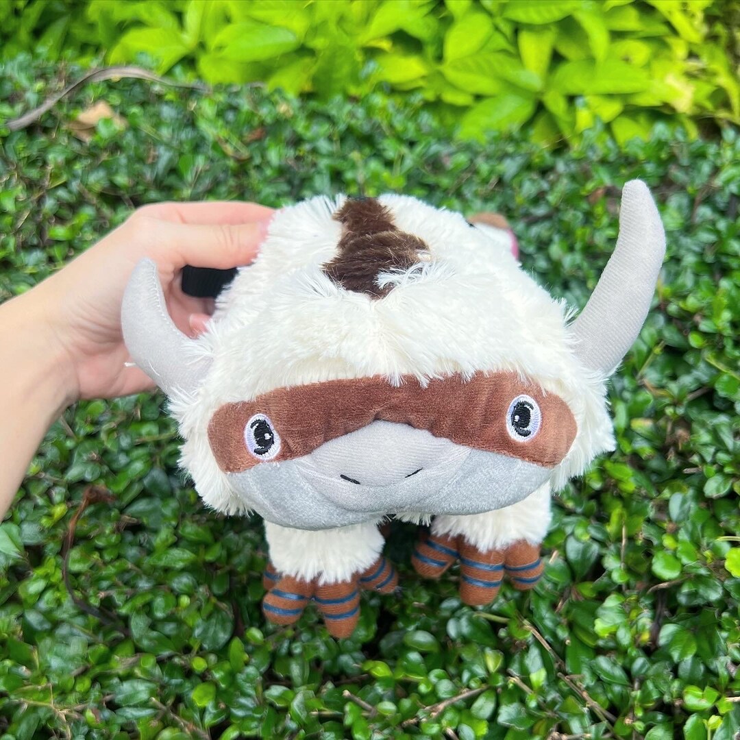 Appa Climbing Chalk Bag Etsy