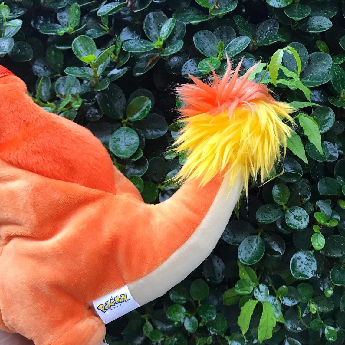 Charmander Pokemon Chalk Bag Etsy