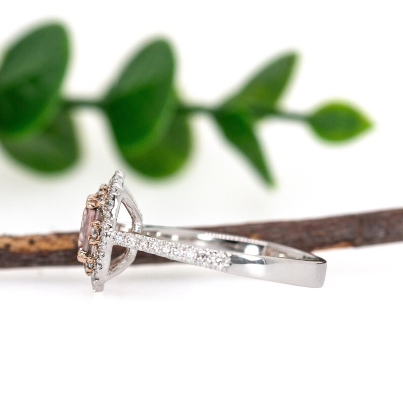 Cor De Rosa Morganite Double Diamond Halo Ring in Solid 14k White Gold | Cu 6mm