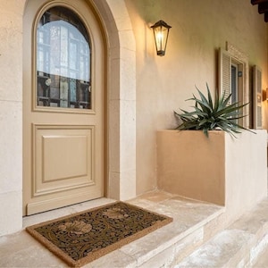 a beige door with a window, a small planter with a plant, and a decorative rug on the front step of a building.