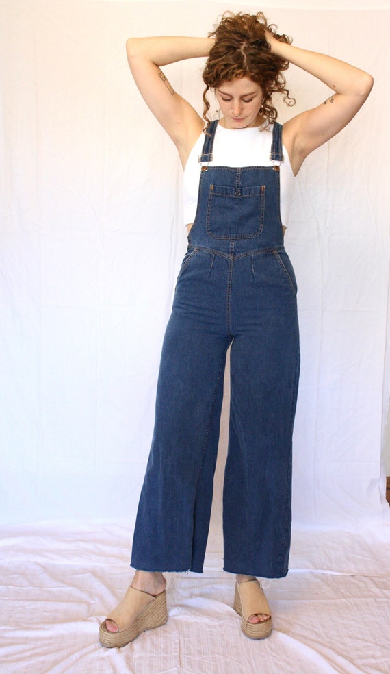 1970s Vintage Pulse Overalls - image 2