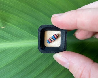 Super Tiny hand painted rock in a frame. Acrylic Paint. Magnet