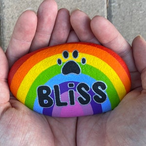 May include: A smooth, oval-shaped river stone painted with a vibrant rainbow arching across the surface. A black paw print is centred at the top of the rainbow, and the word BLISS is written in bold, black, silver-outlined capital letters below.