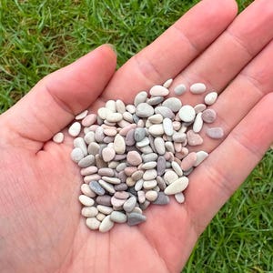 May include: A collection of small, smooth, rounded pebbles in various muted shades of white, cream, light grey, and soft pink. These tiny stones are polished and have a matte texture, appearing as a cluster of natural mineral fragments.