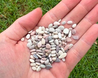 200 Extra Tiny Craft Stones - Mini Pebbles for Rock Arts & Crafts - Hand Picked