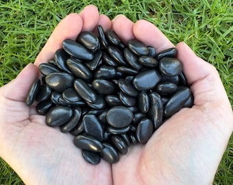 Smooth Pebbles (Pack #3) Small Rocks. 150+ Stones