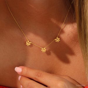 Puede incluir: Un collar de oro con tres colgantes con forma de huella de pata. Cada colgante tiene un nombre diferente grabado.