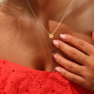 Puede incluir: Un collar de cadena dorada con un peque&ntilde;o colgante en forma de huella de pata. El collar lo lleva una persona con una camisa roja.