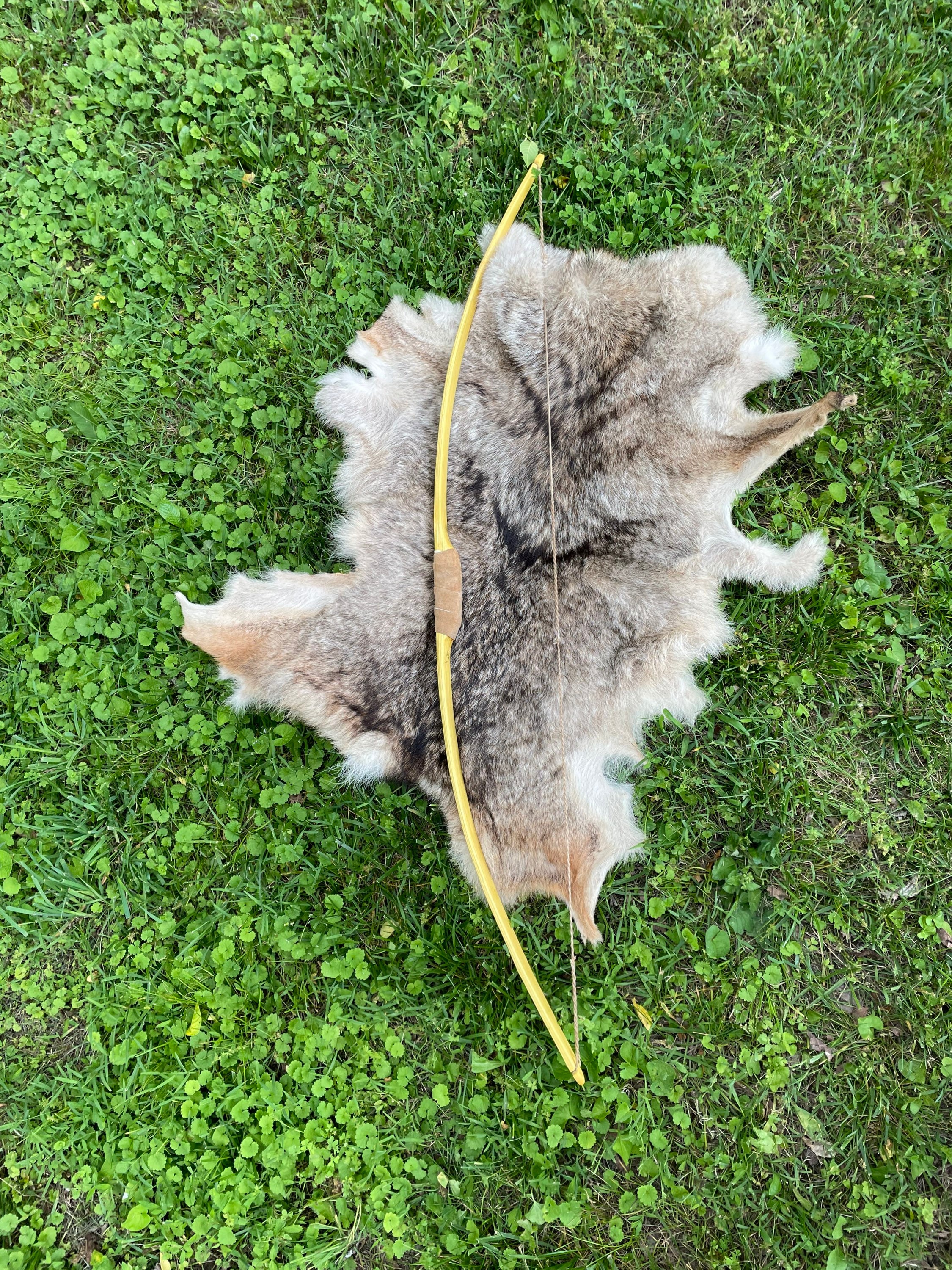 Osage Orange Youth bow