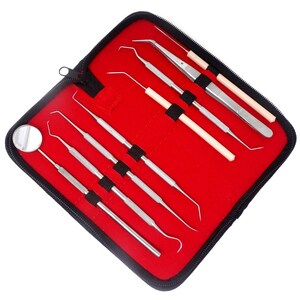 Dental Assistant Student Gift Oral Hygiene Tools with Pouch, Stainless Steel, Dental School Graduation